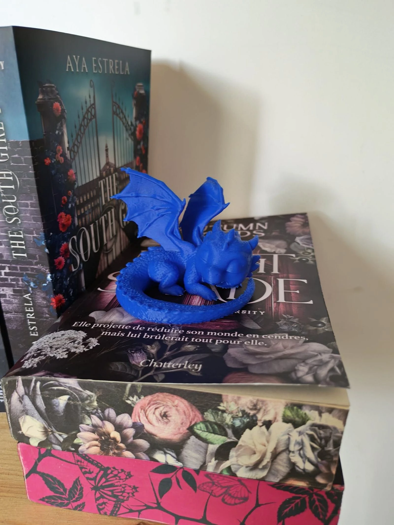 Sleeping Dragon – photo 2